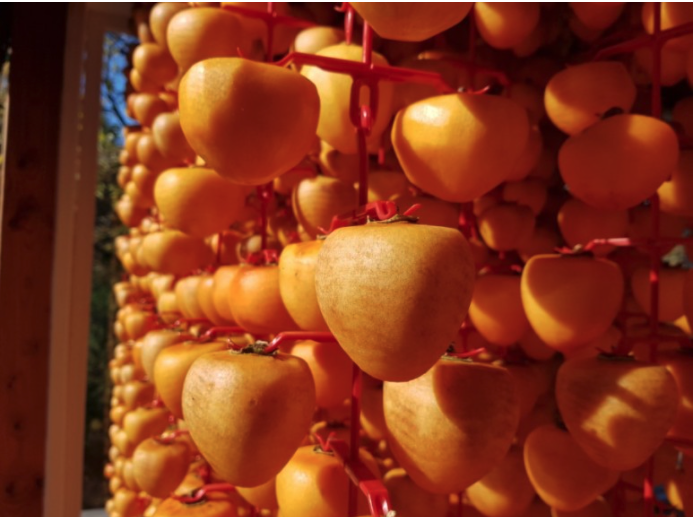 Things that make me happy: Dried Persimmons